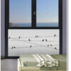 vinilos cristales ventanas dormitorio 1500 VD16N CABLES CON PÁJAROS F01