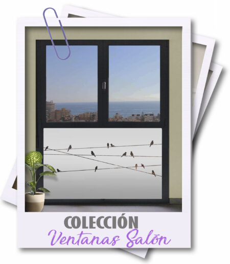 Vinillos para Ventanas Salón